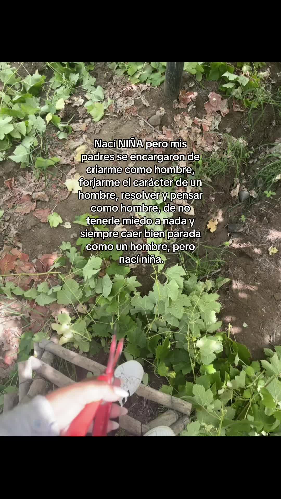 @𝓣𝓱𝓪𝓵𝓲𝓪  🦖🍠