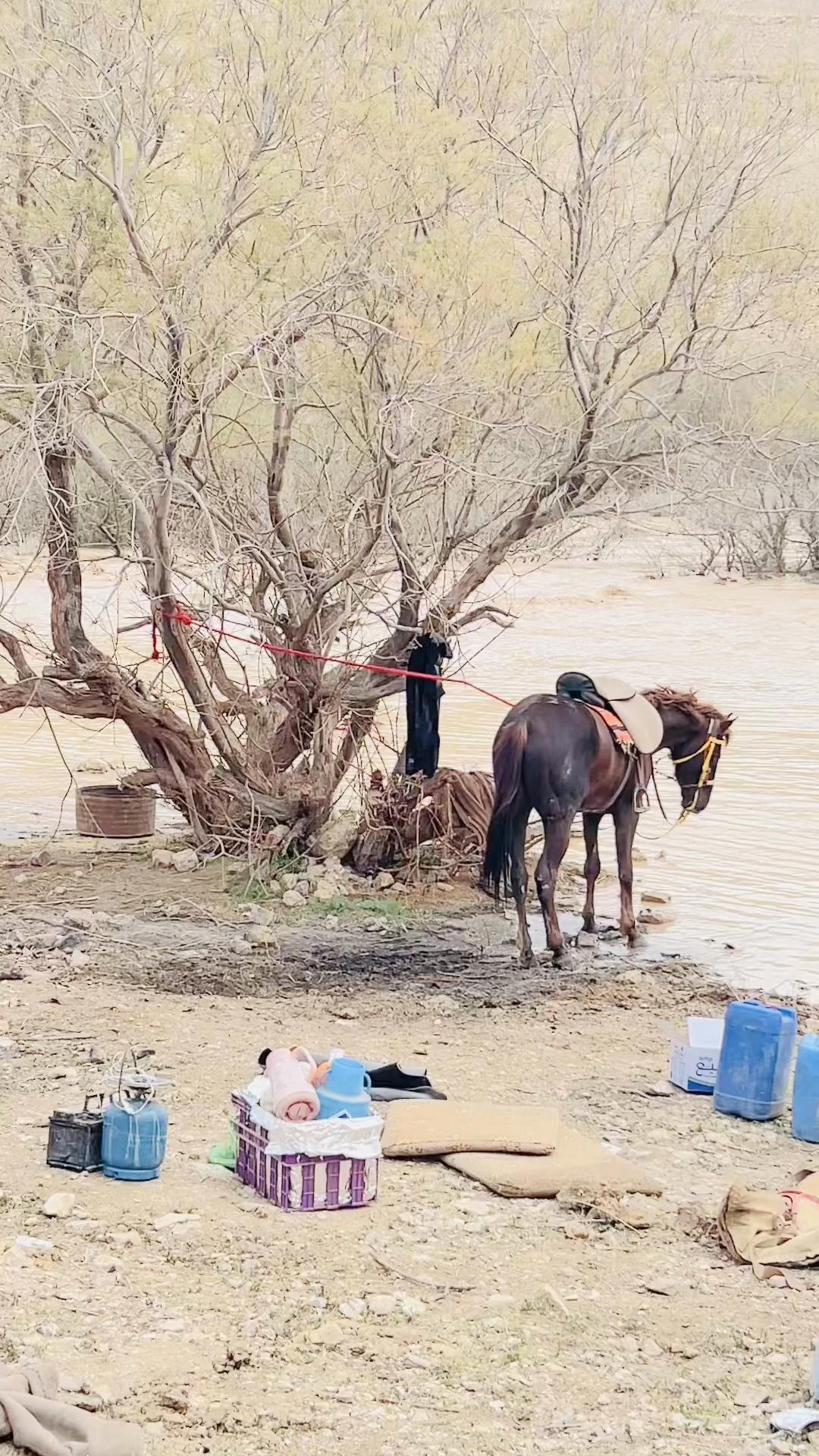 @خليل الشمري