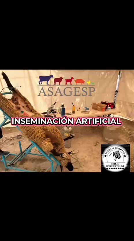 @ASAGESP