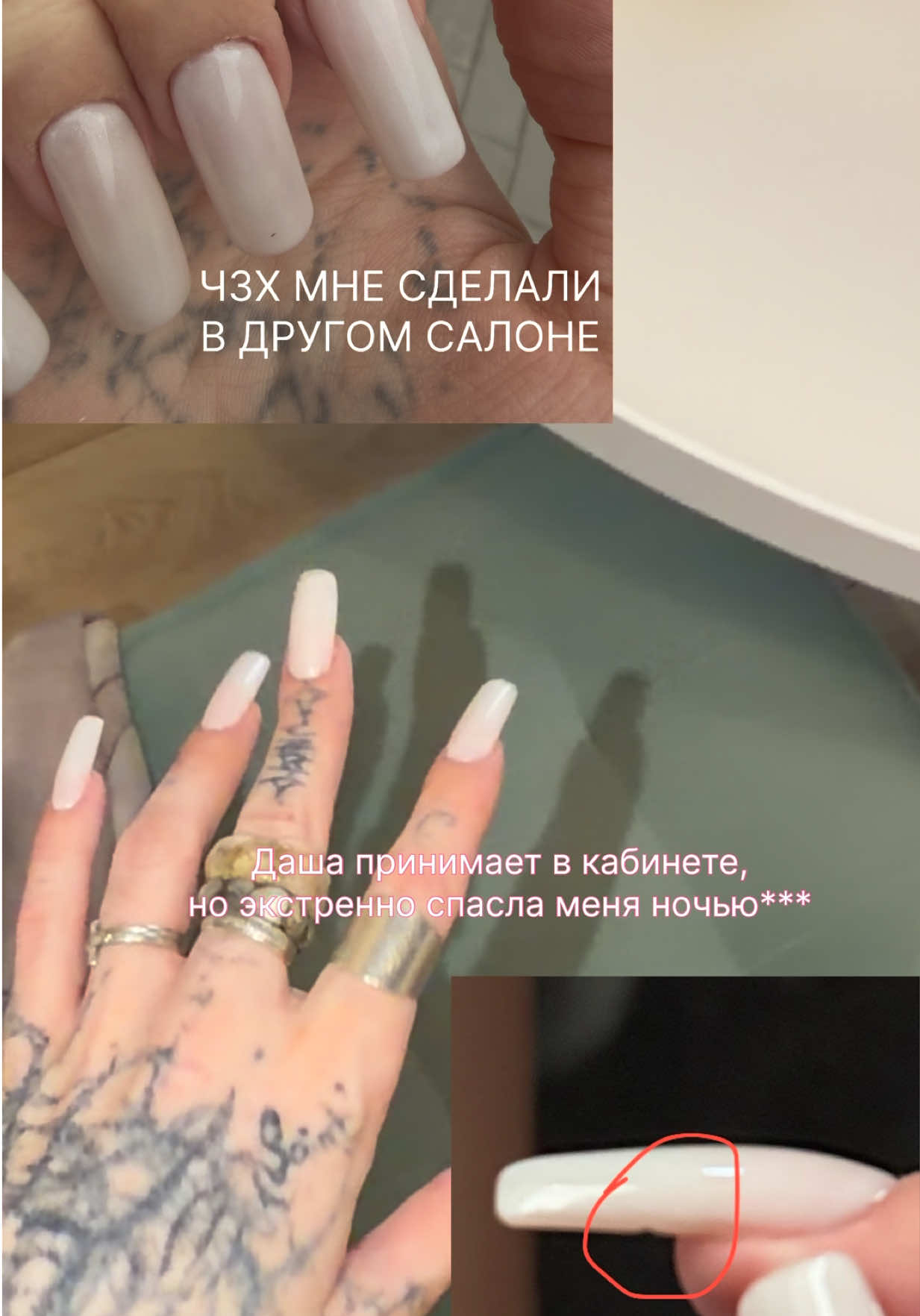 @imLapahapa 🐾