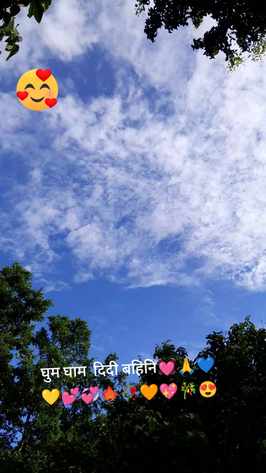 @Saraswati Neupane