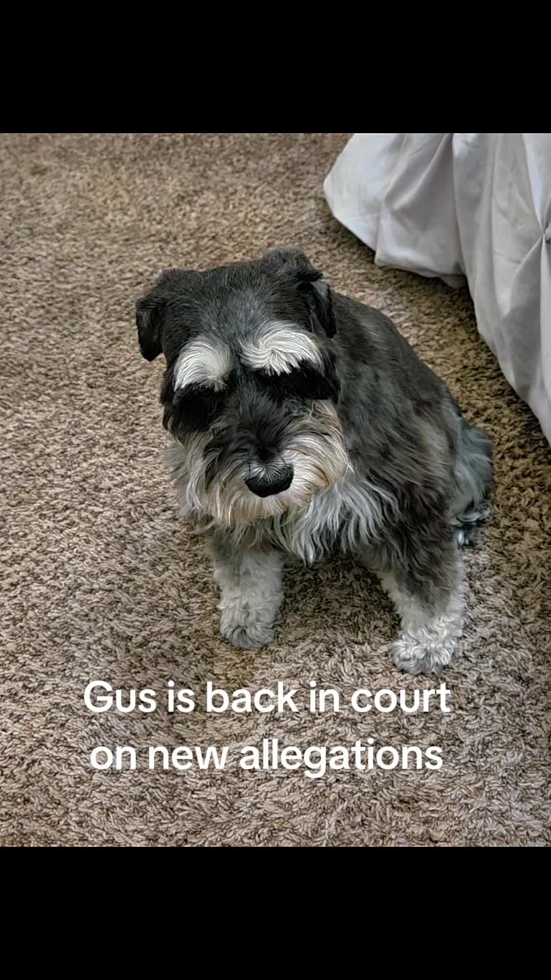 @Grumpy Gus
