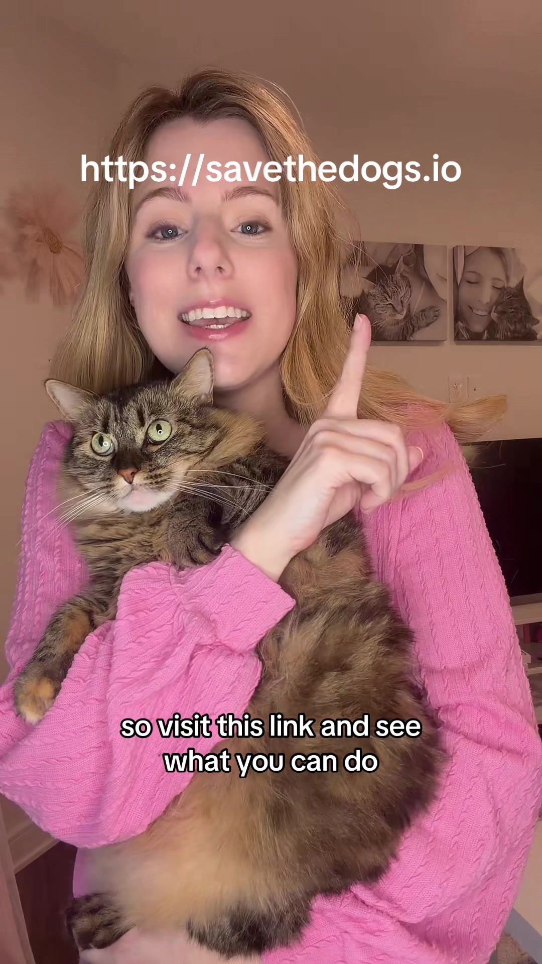 @Petal the kitty