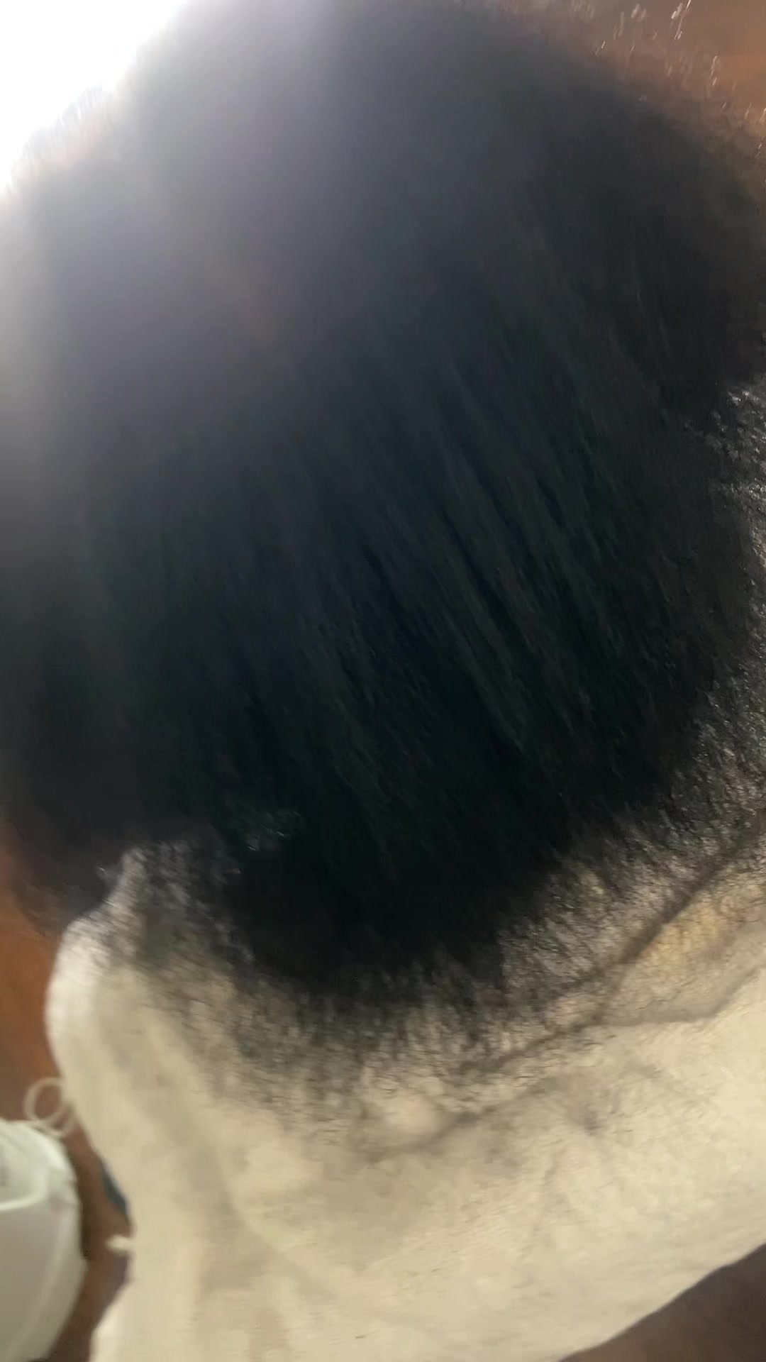 @Ronjbaby