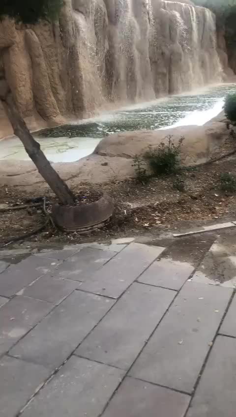 @sevim