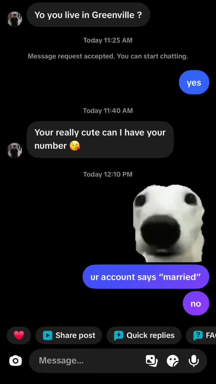 @ashton 🐶
