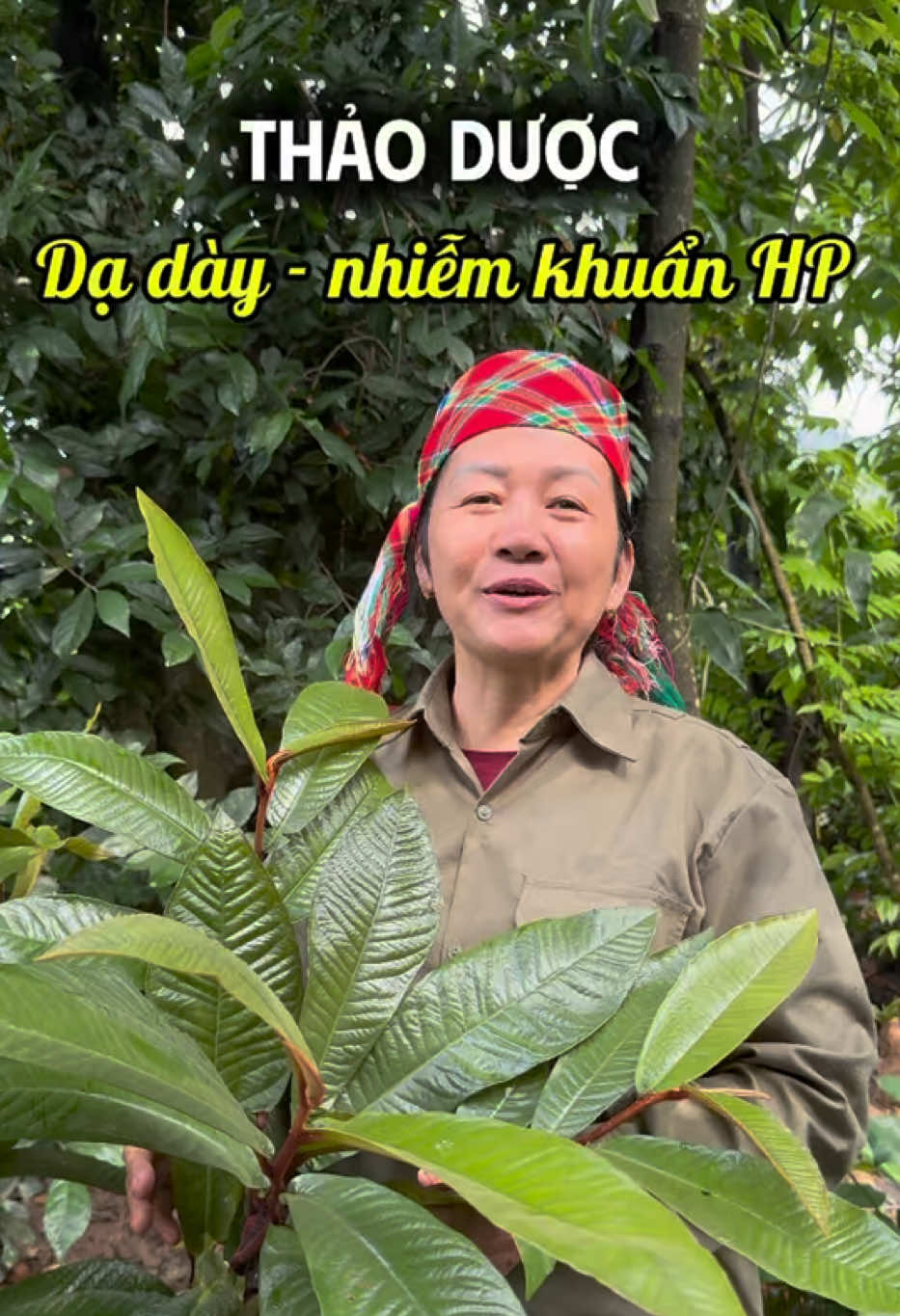 @Cô Sinh Thảo dược Cao Lan
