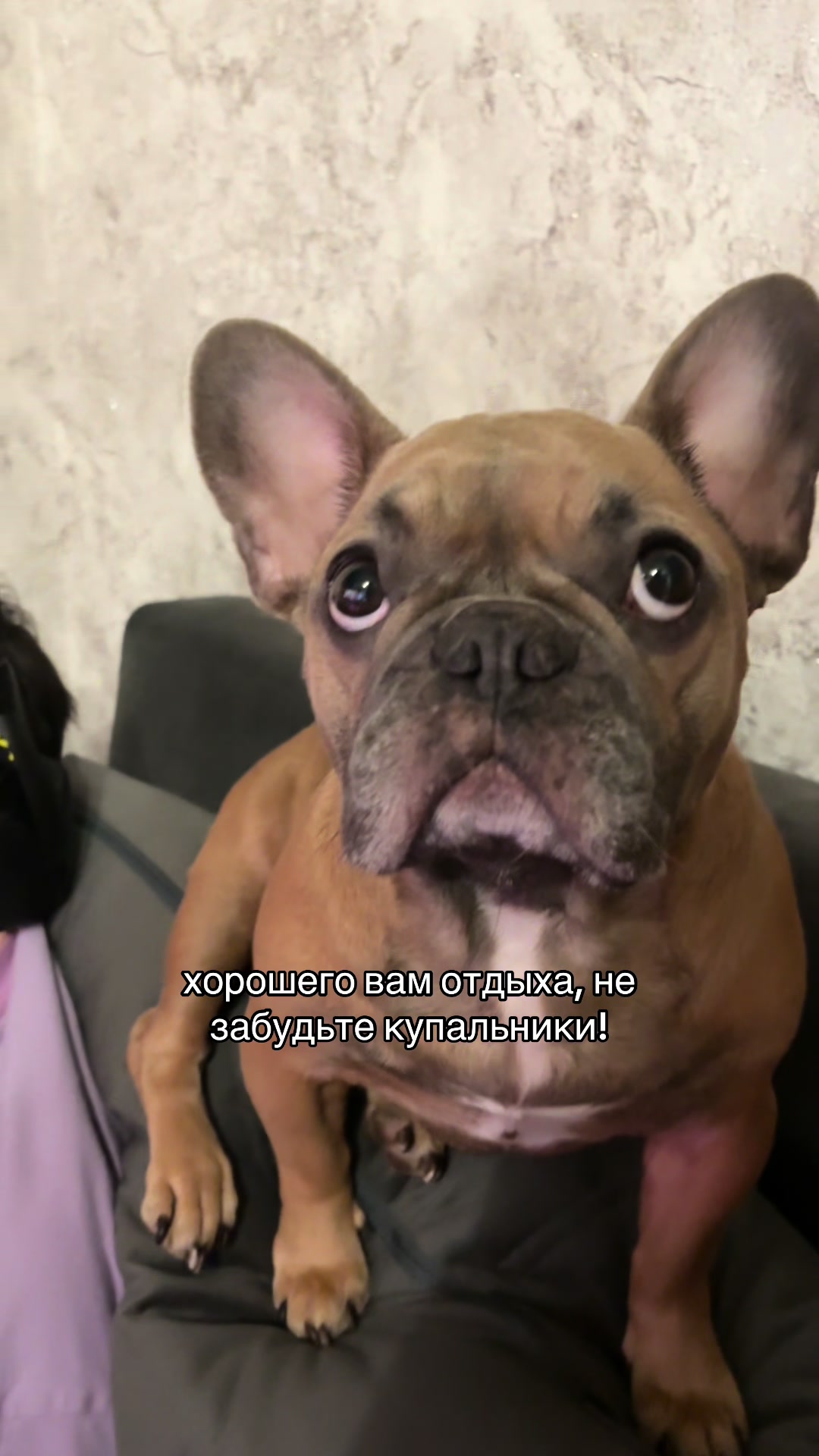 @крис