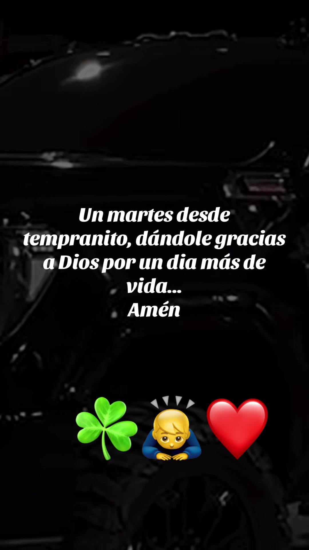 @☘️🥷❤️