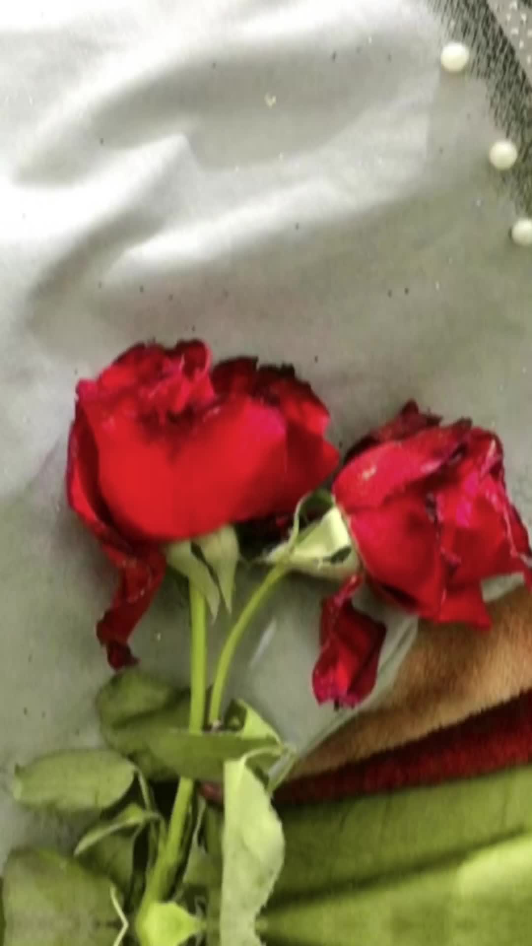 @💞꧁𝐇𝐚𝐢𝐝𝐞𝐫 𝐤𝐢 شہزادی꧂💞