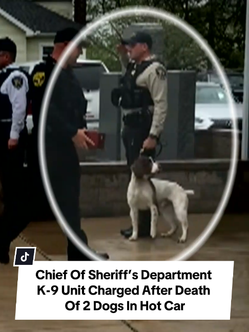 @Inside Edition