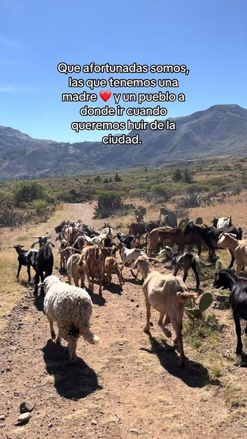 @🦋Silvanitha🌻🇵🇪