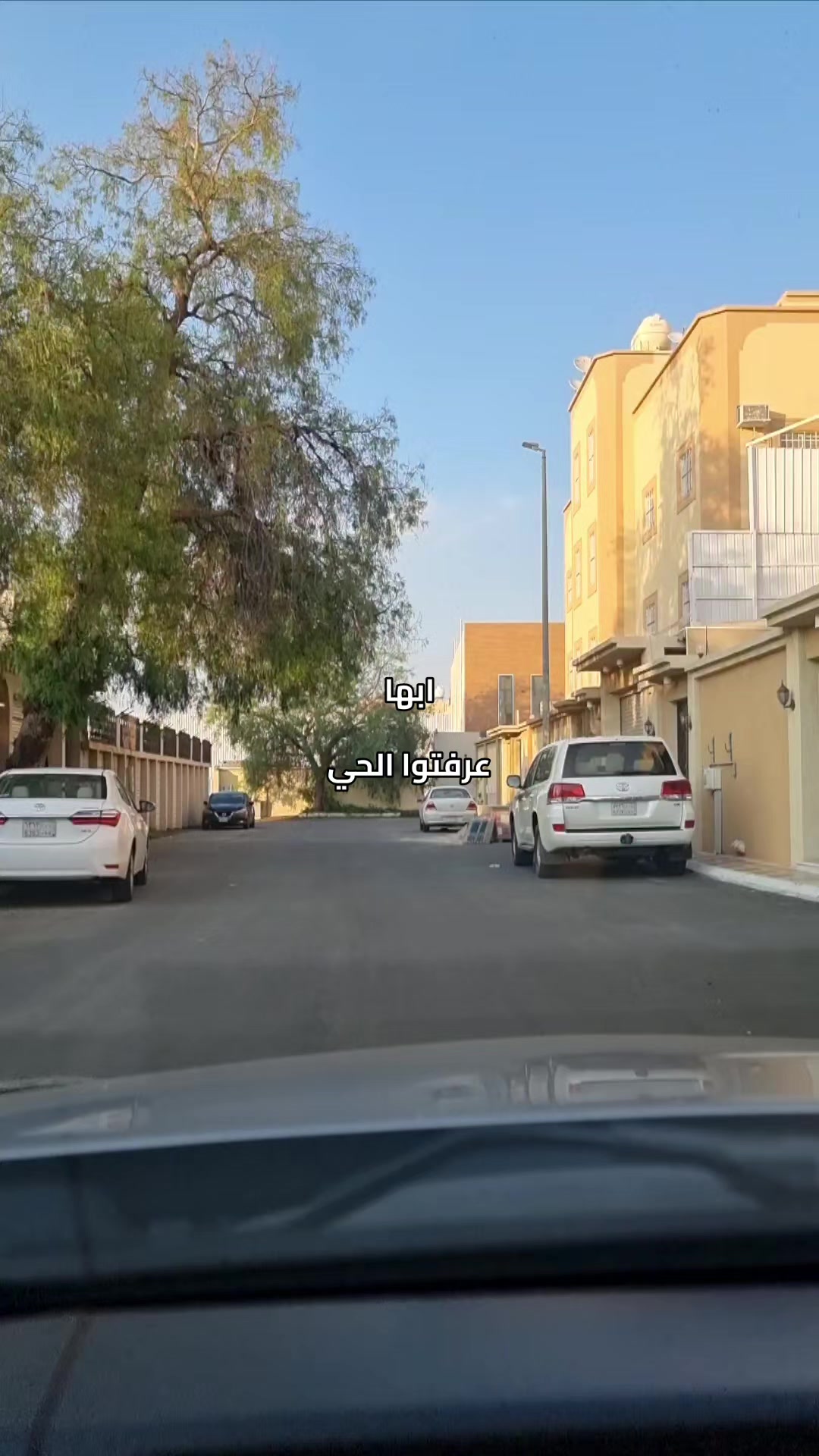 @جولات/محمد العبيدي
