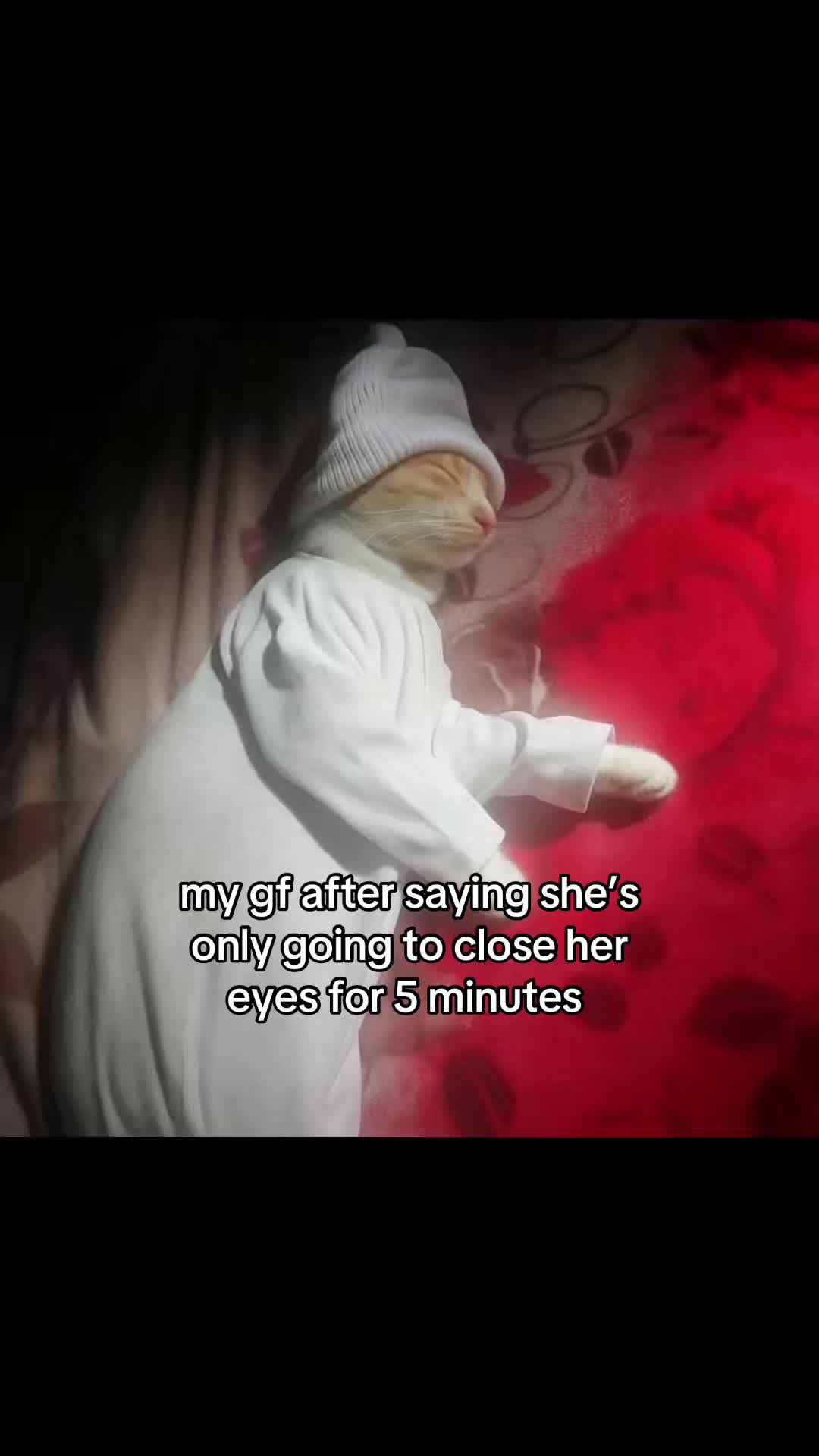 @meowconcept