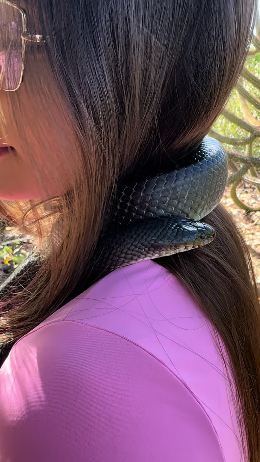 @Princesa das Serpentes