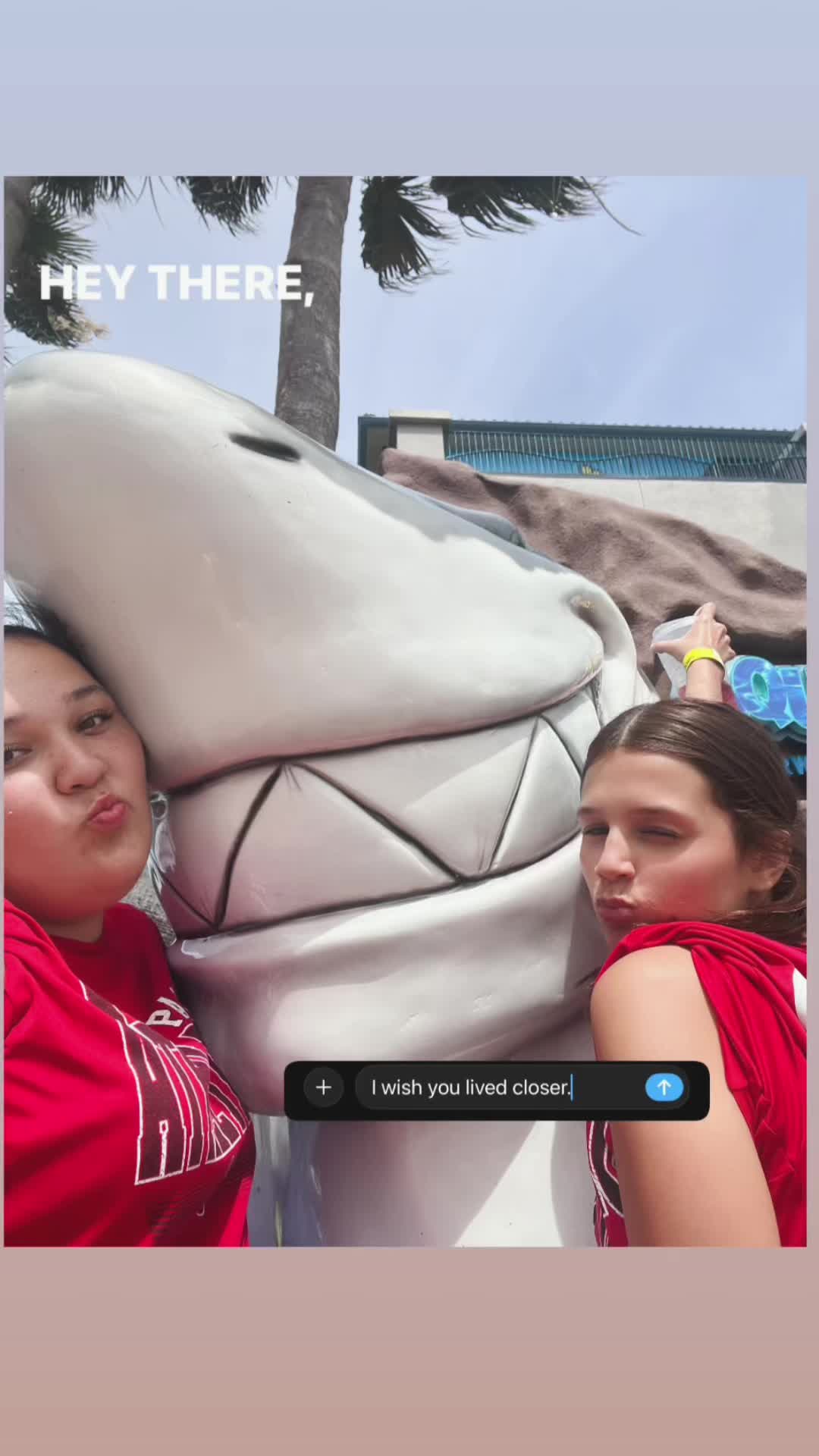 @macy