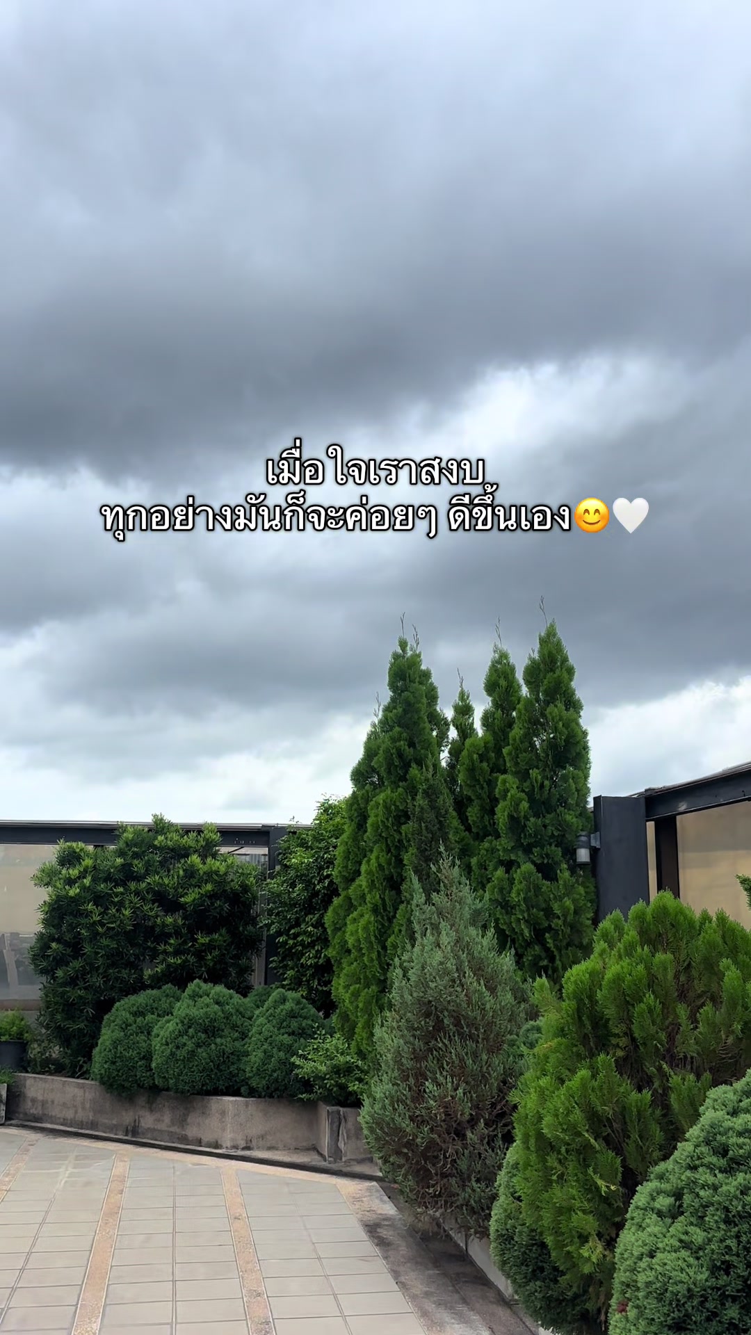 @T-story