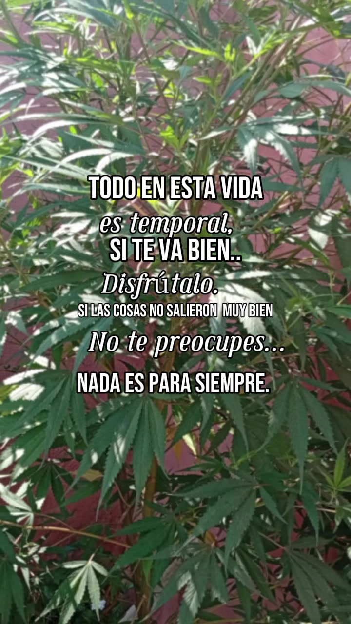 @🕊️🫡👻Nay🚂