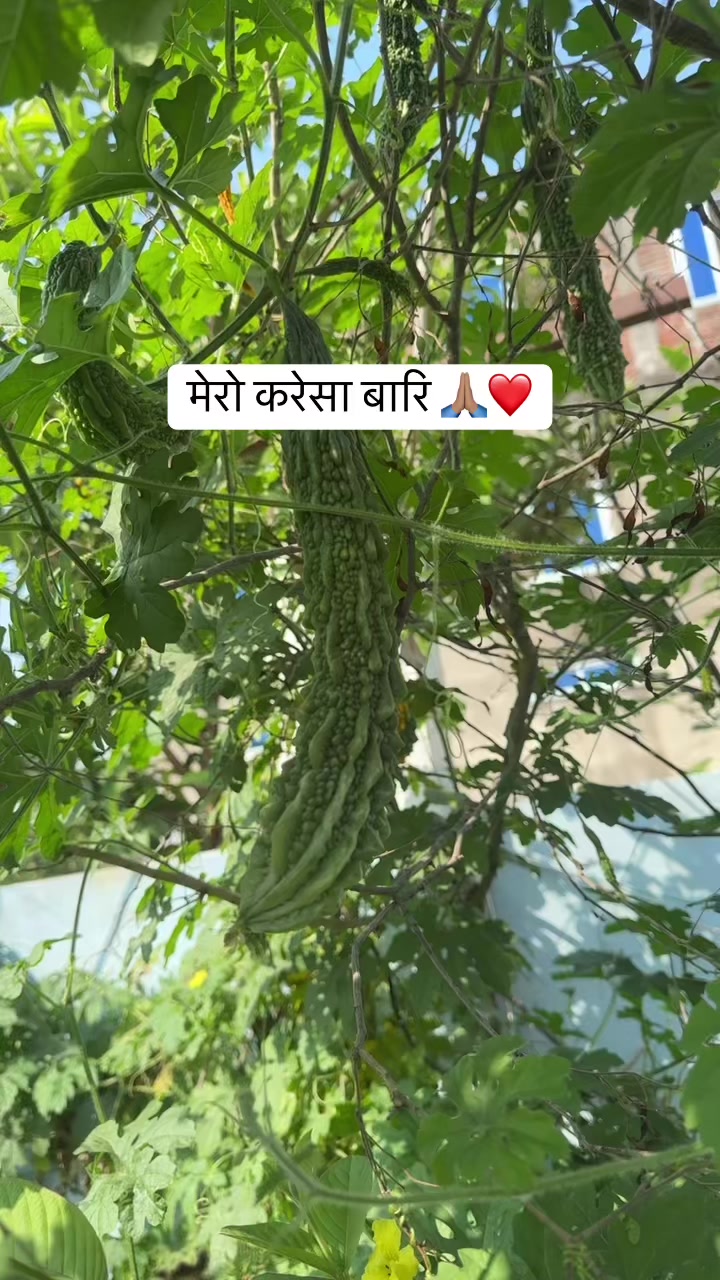 @Indira Bhandari Khadka219