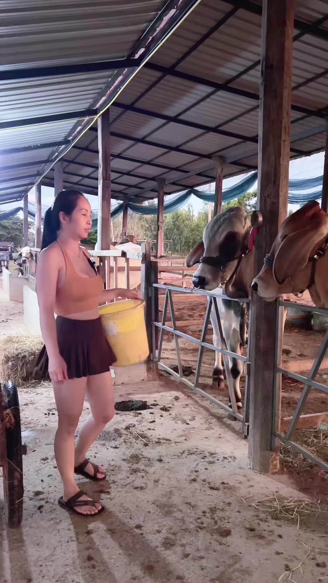 @AA Aranya Farm