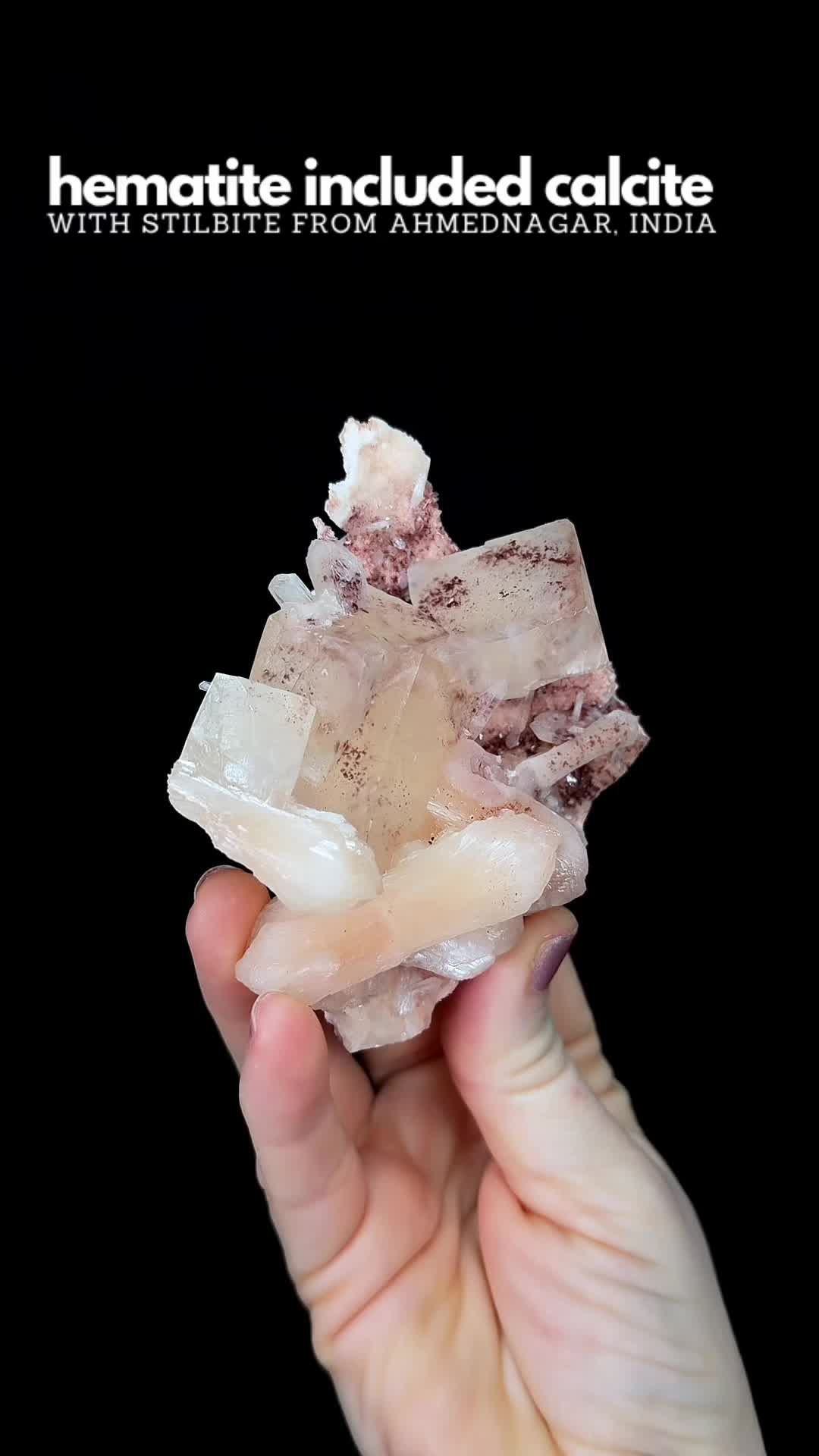 @Crystal Live Emporium✨Natalie