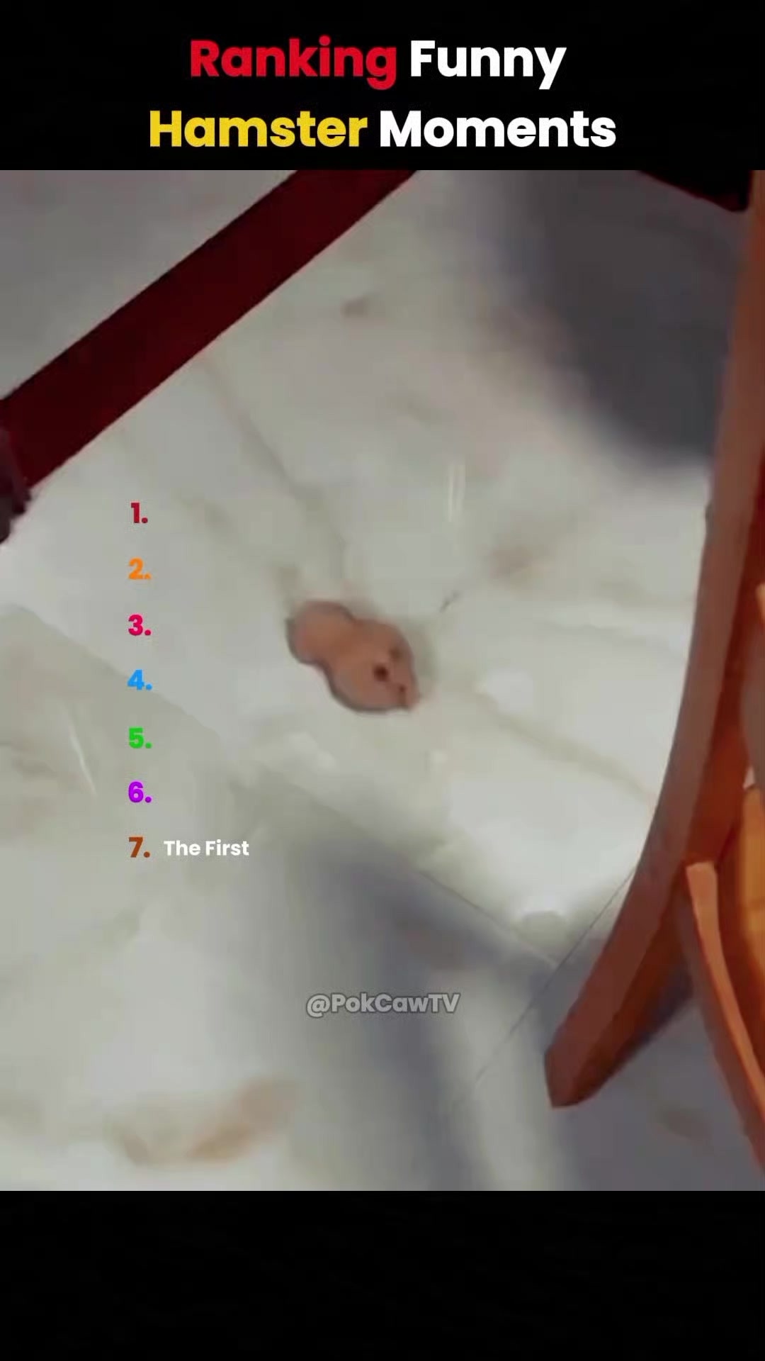 @pokcaw