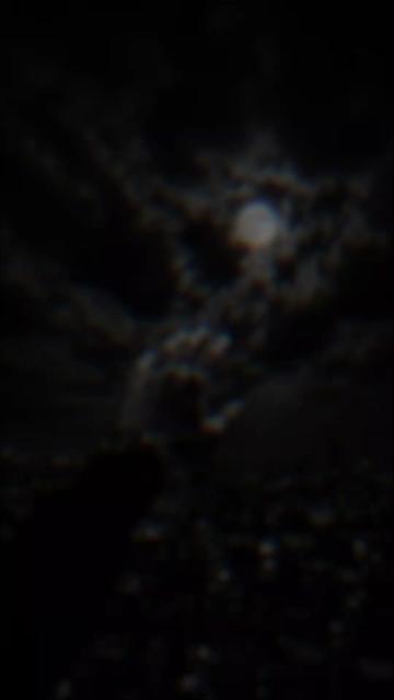 @๐๐๐ฎ๐ท๐ท๐ ๐๐ช๐ฎ ๐โโ๏ธโ๏ธ๐๏ธ