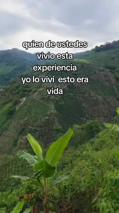@Soly Luna