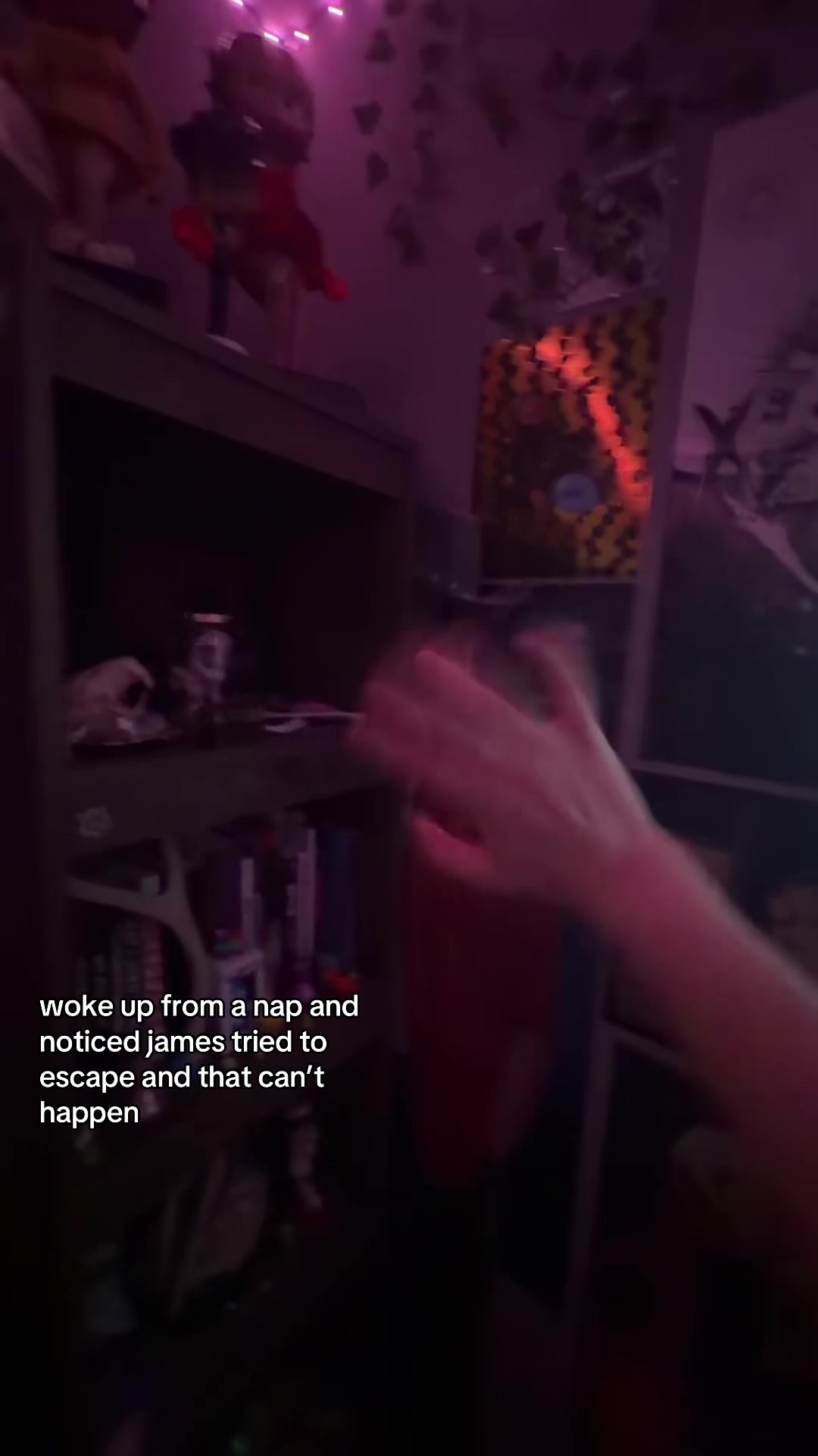@marlie🕯️📺