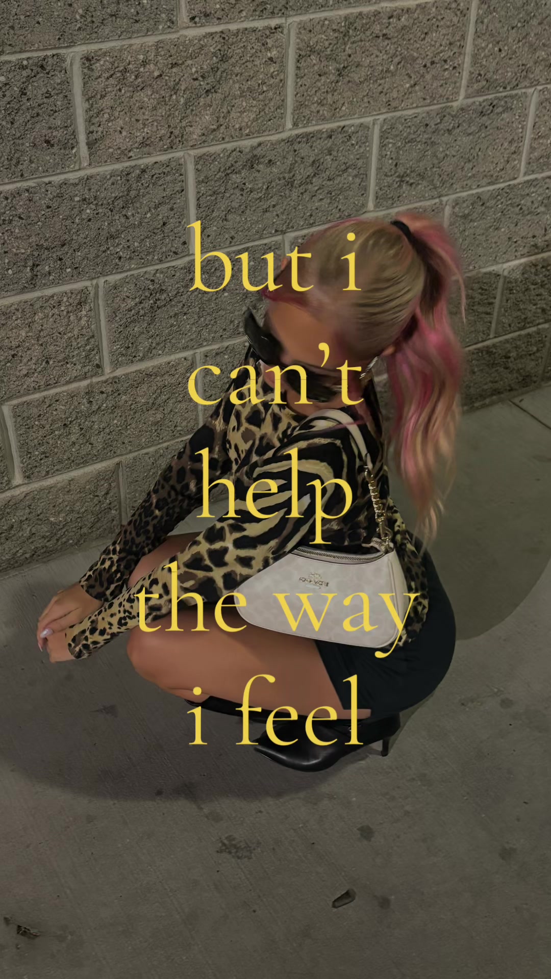 @savvy 🐆