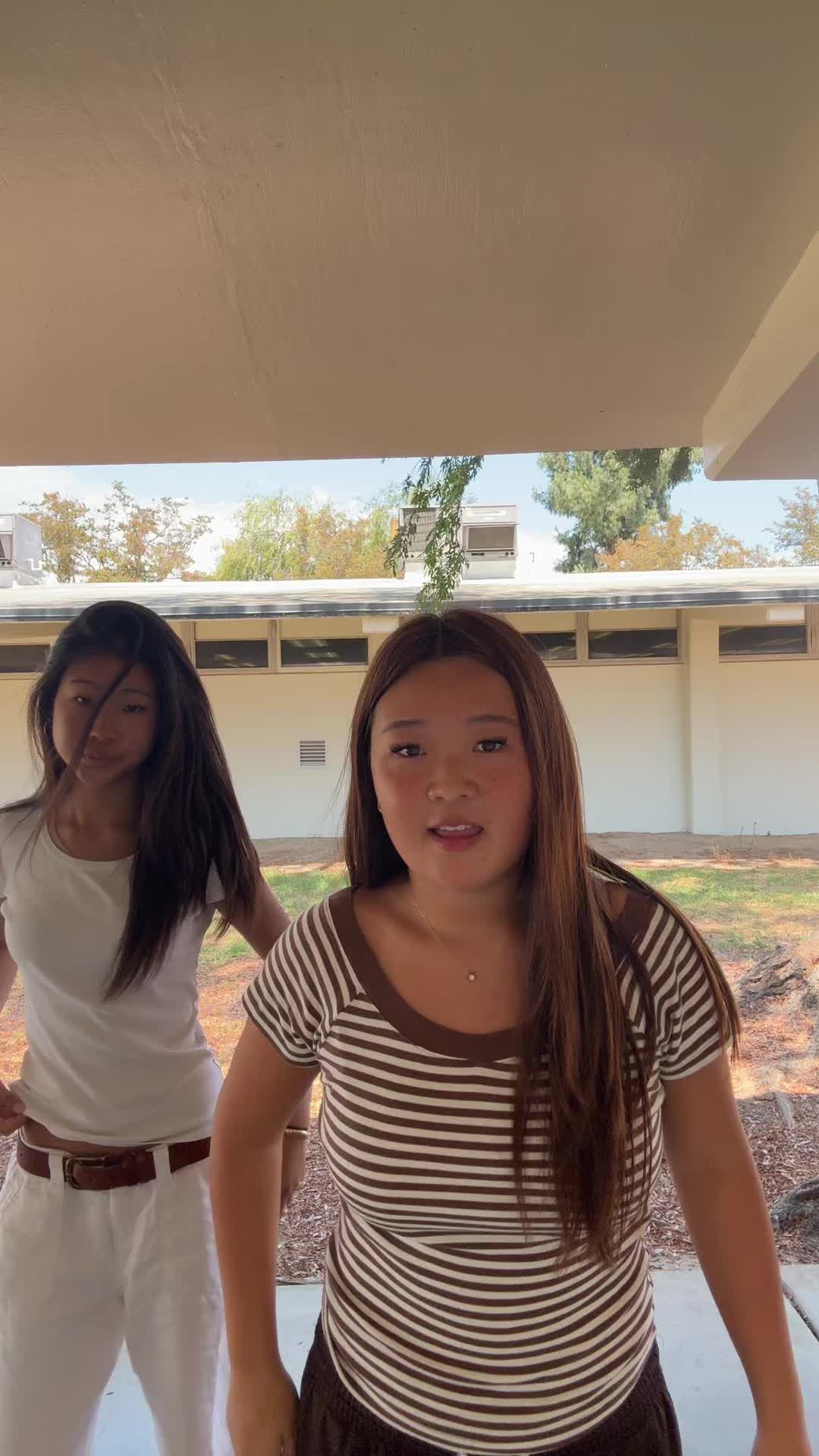@sheshe