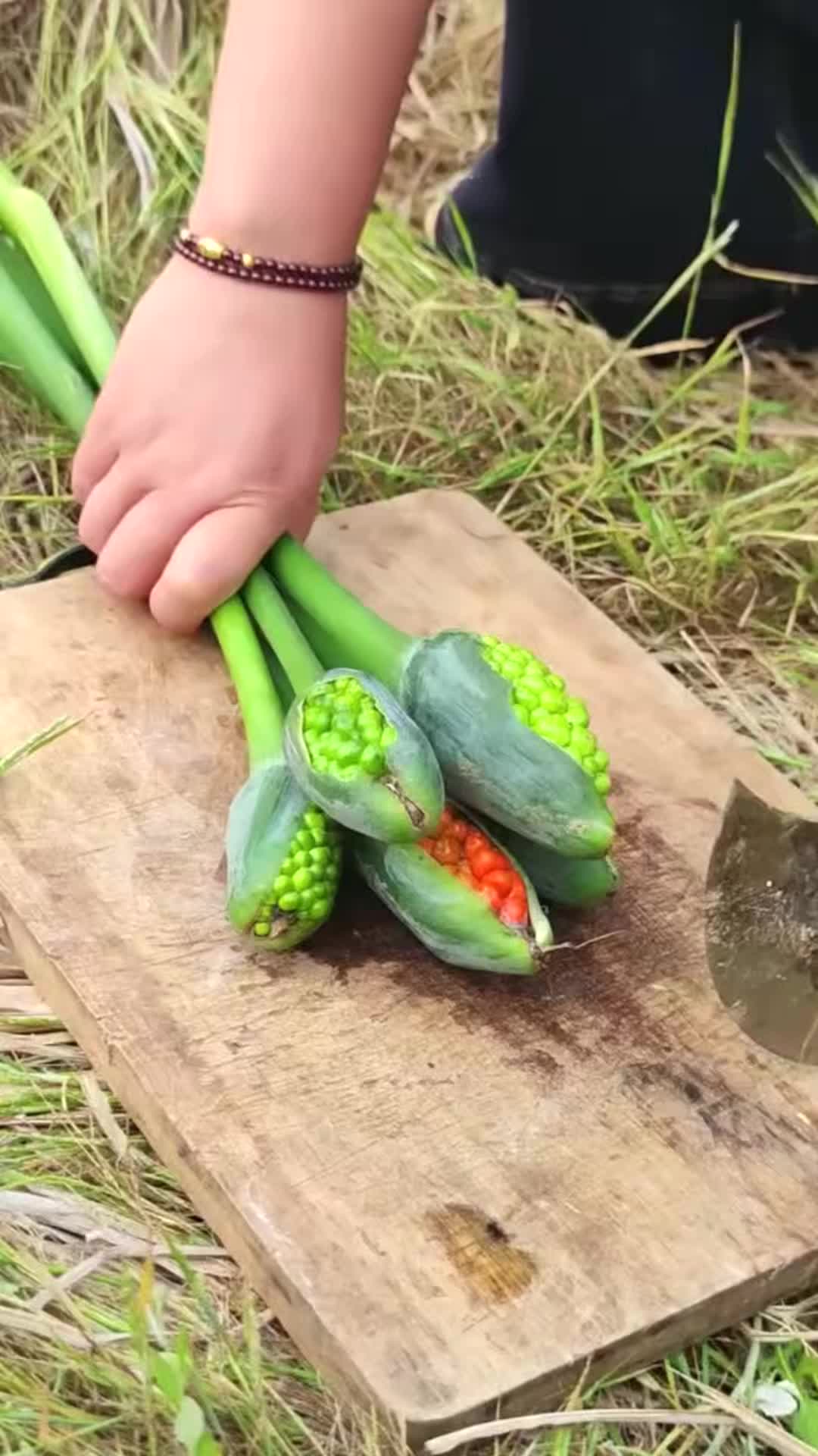 @pjtqbc
