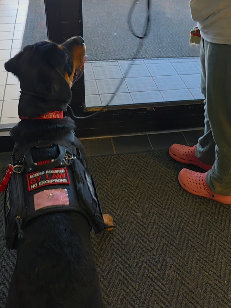 @Canine Wonders Training