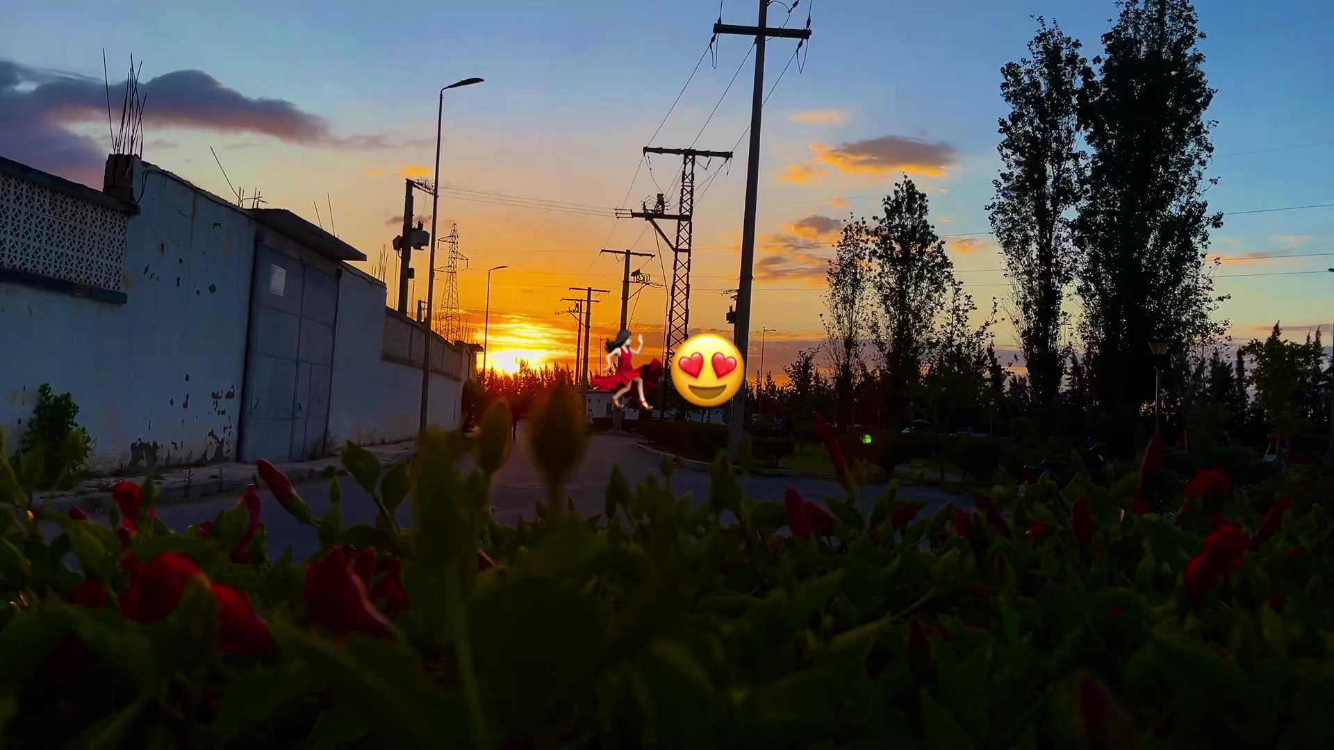 @𓆩𝒎𝒓 𝒂𝒚𝒎𝒂𝒏𝒆𓆪