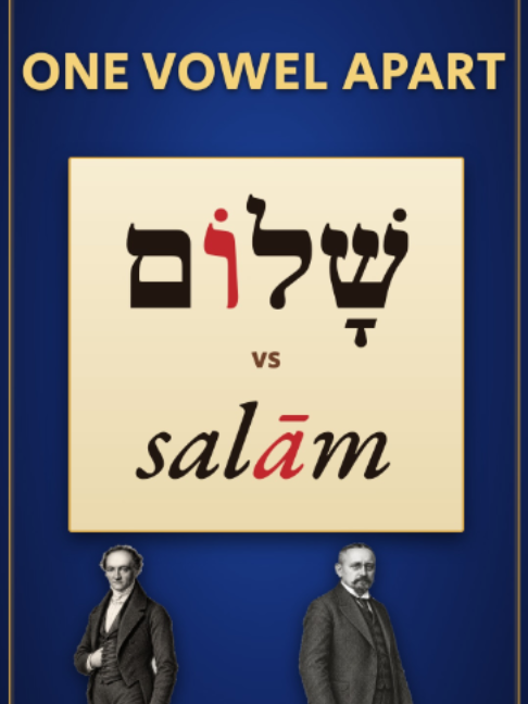 @Elon Gilad