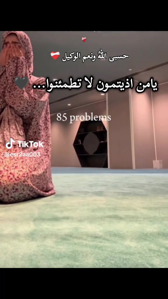 @amira mansour