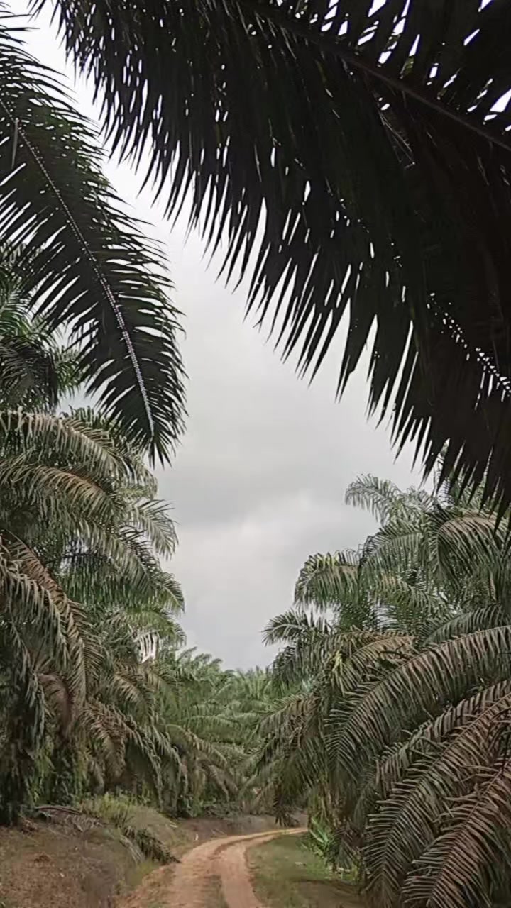 @sRiKanDi