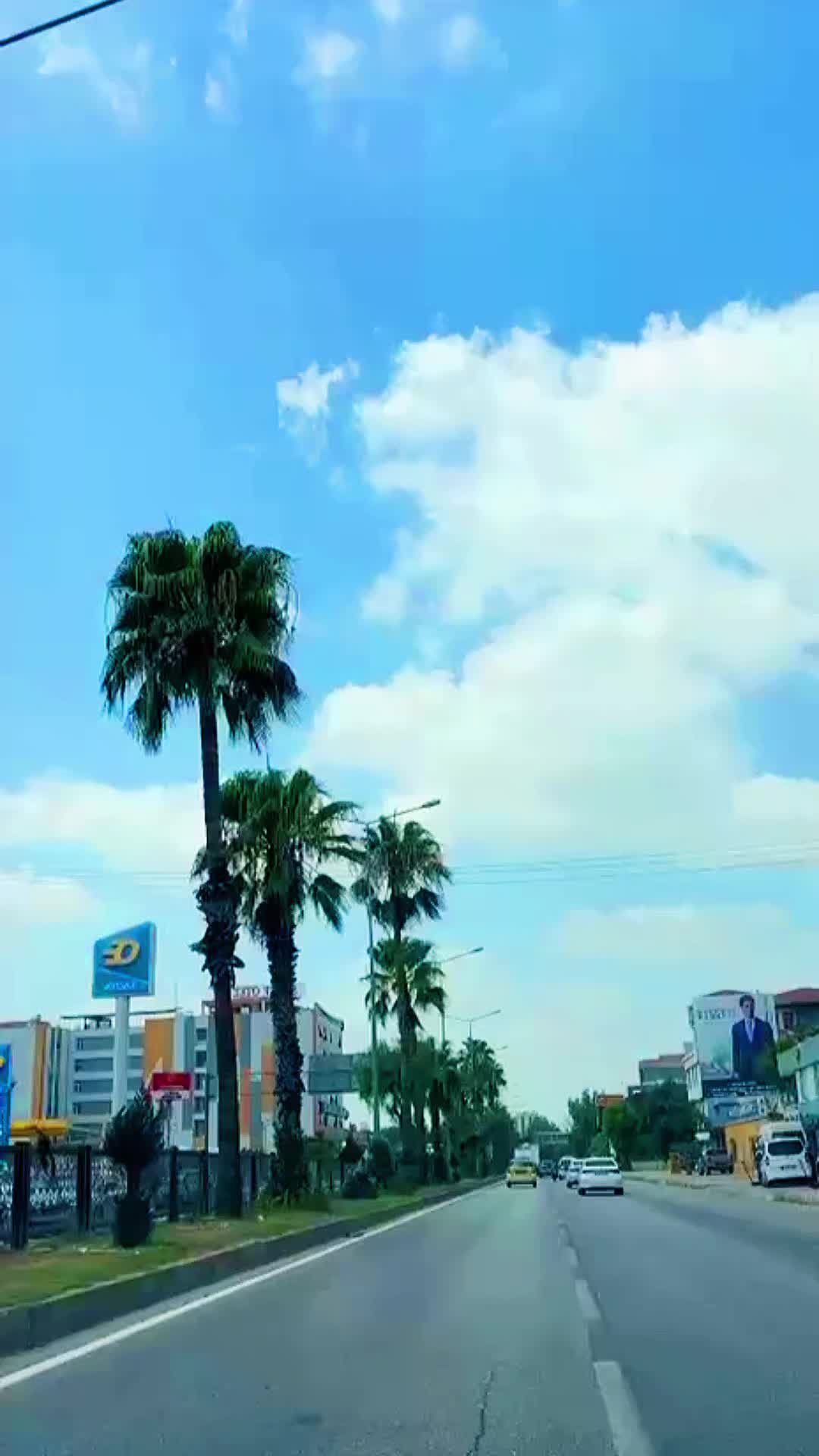 @❣︎🇦 🇾 🇸 🇮 🇲 🇦 ❣︎
