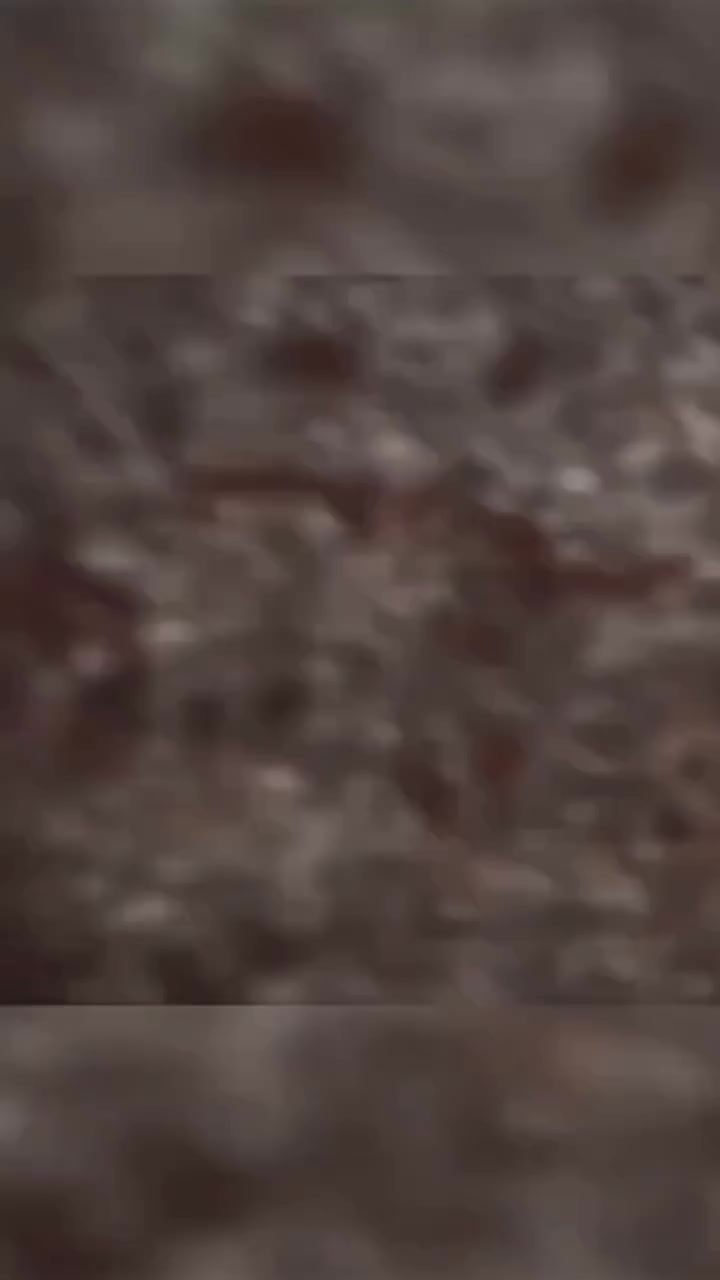 @Addstatus