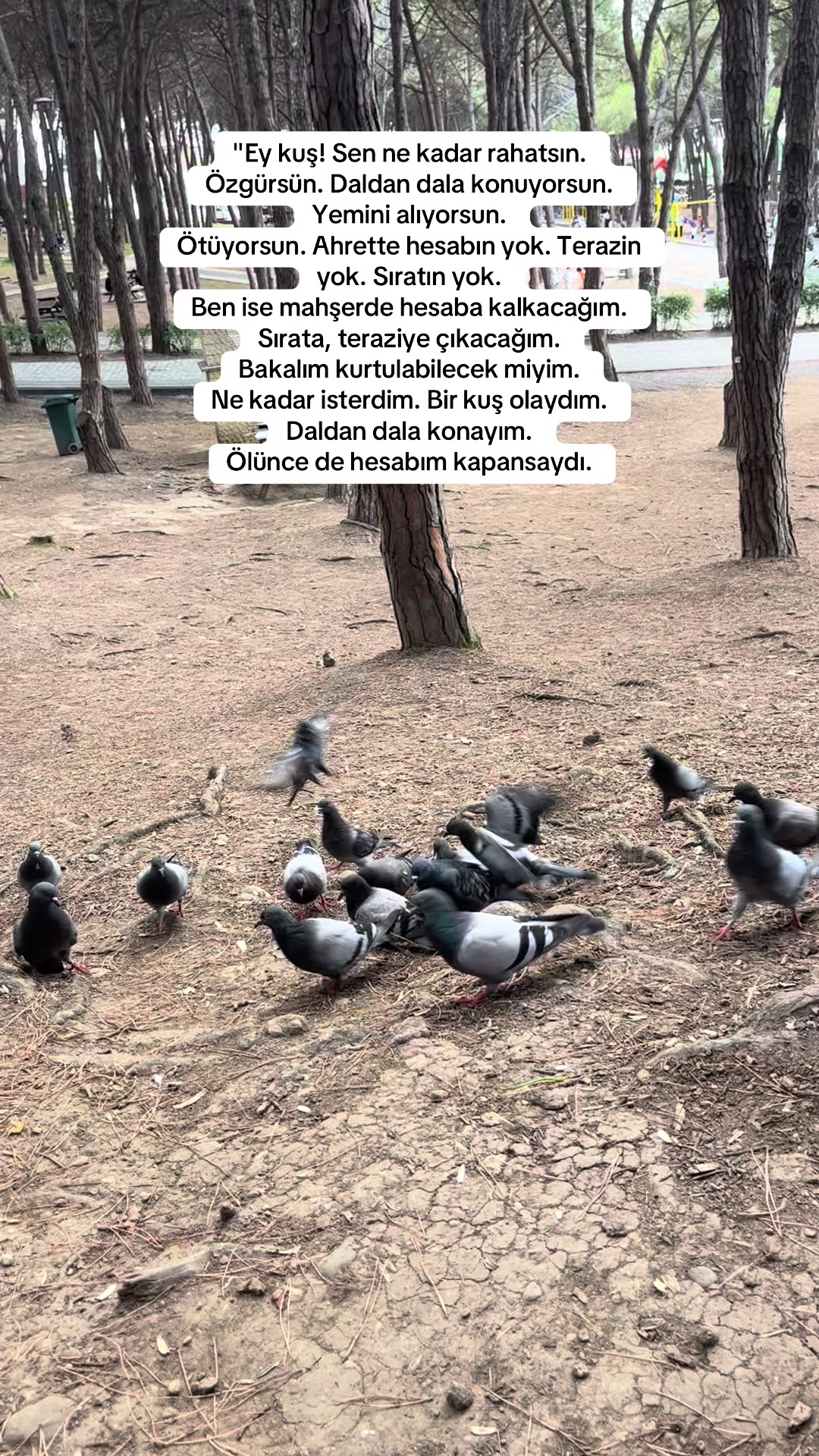 @Bayan Kardiyo