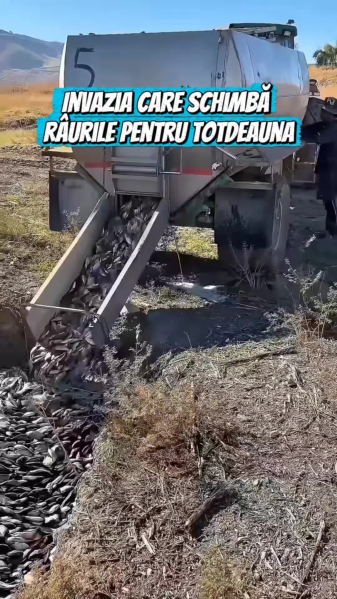 @Secretele Sănătății 💚