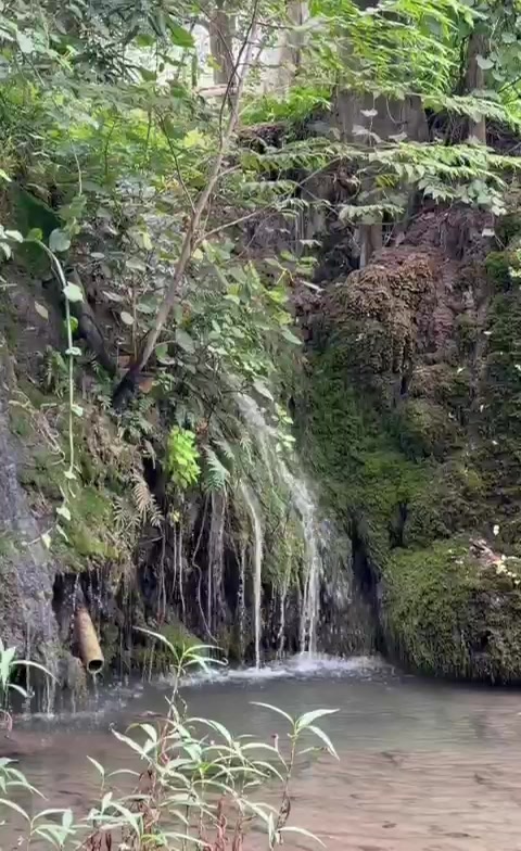 @rayt_alkafel1لسياحه والسفر