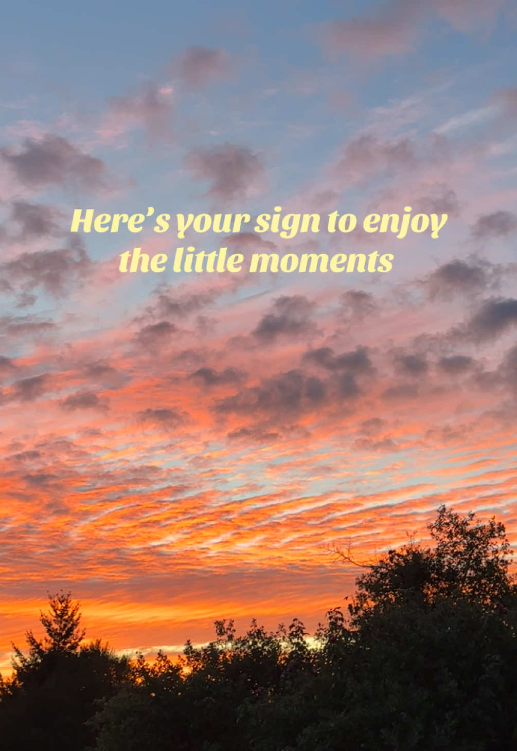 @Ava May Marie
