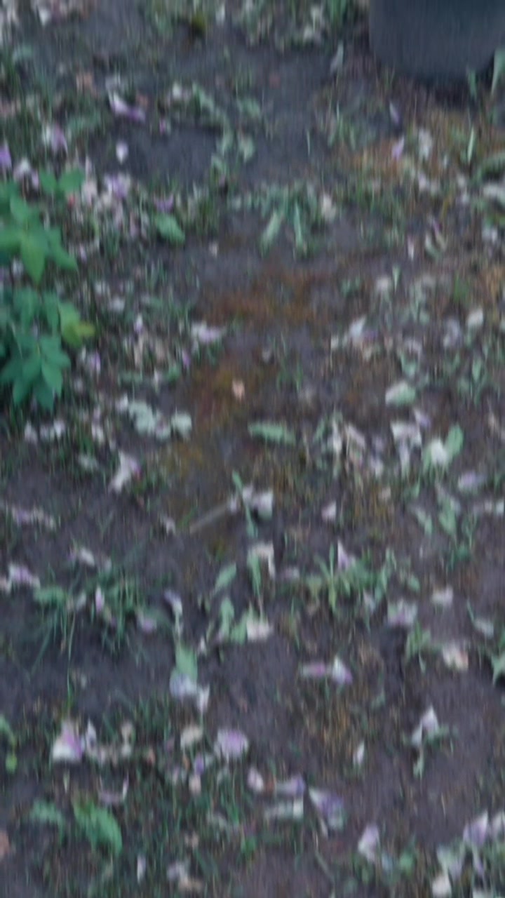 @тема,