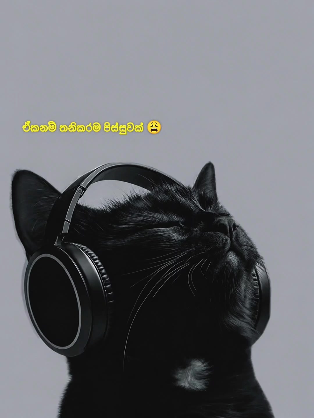 @🎵🎤❤️geethi❤️🎶