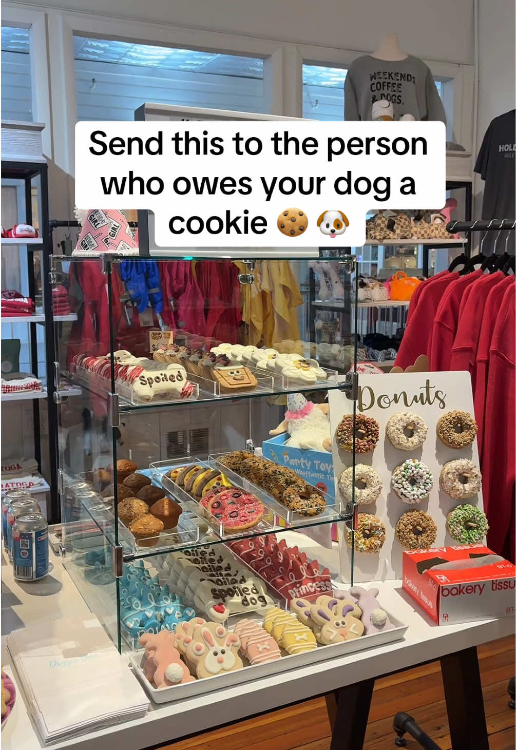 @Bella & Lindy Pet Boutique