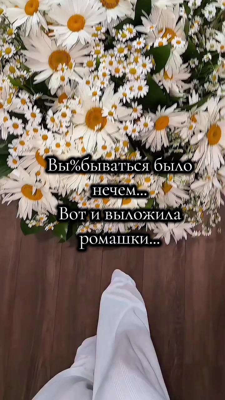 @☆꧁✬◦.𝒱.𝒮𝒽 .✬꧂☆