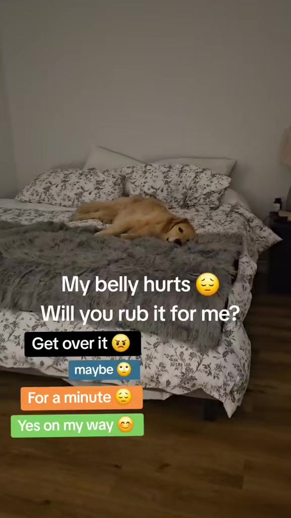@🐶Griffin