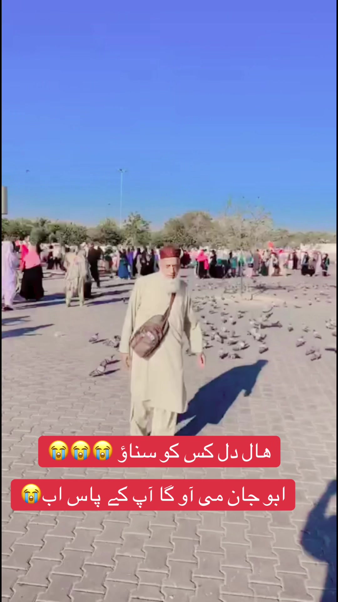 @hafiznaseer11