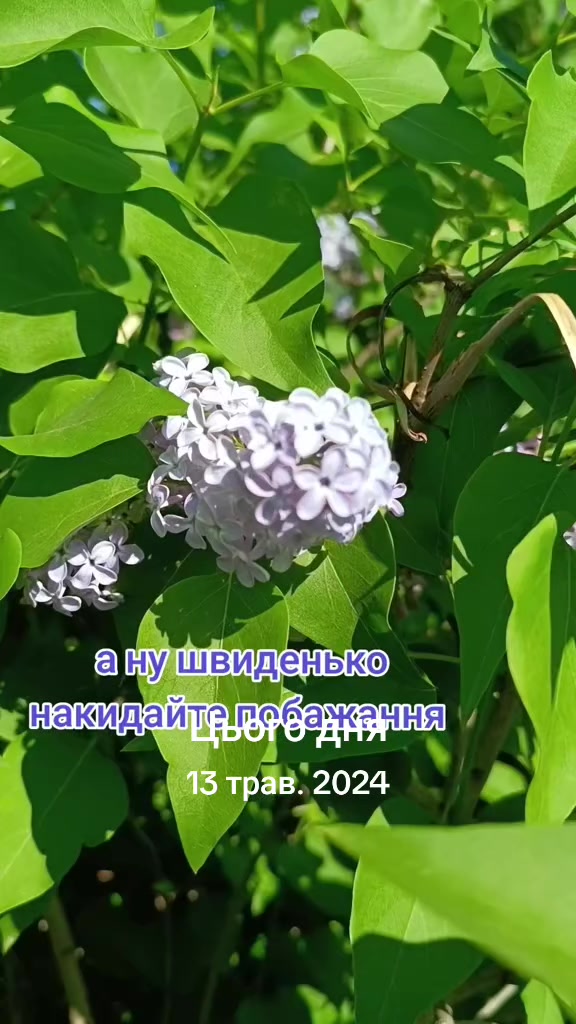 @Намистинки від Людмилки